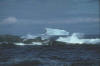 Iceberg 05 - Bonavista Bay