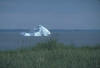 Iceberg 15 - Conception Bay