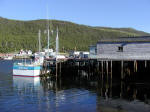 Little Harbour 4 - a fishing village in Placentia Bay